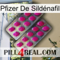 Pfizer De Sildénafil 10